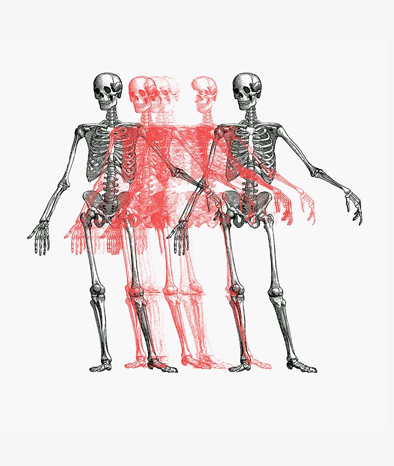 Skeleton etching series