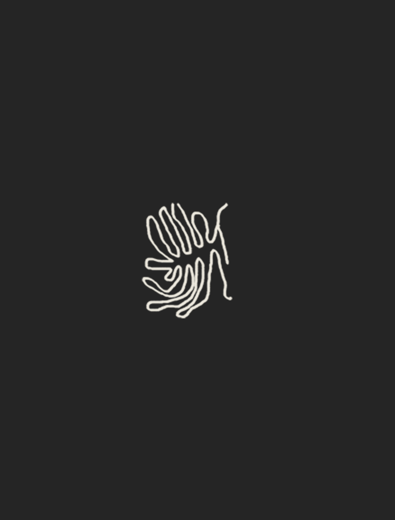 Book illustration series